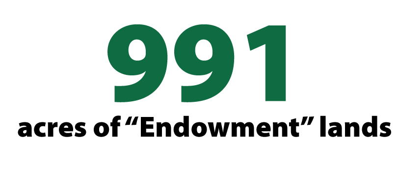 991 acres of endowment lands
